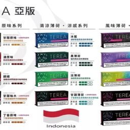IQOS TEREA亞洲版 ILUMA 專用 免維護設計 電感金屬芯 20支裝 揮別斷片與清理煩惱 感應加熱不焦味 享受濃郁擊喉感 台灣現貨秒發