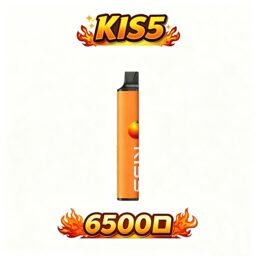 KIS5 鎧斯 6500抛棄式 升級不漏油結構順滑擊喉 雙芯磁吸自由配 Type-C 快充長效續航 全台現貨速發